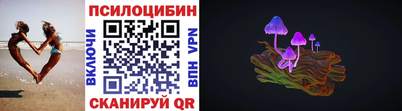 Псилоцибиновые грибы Cubensis Александровское